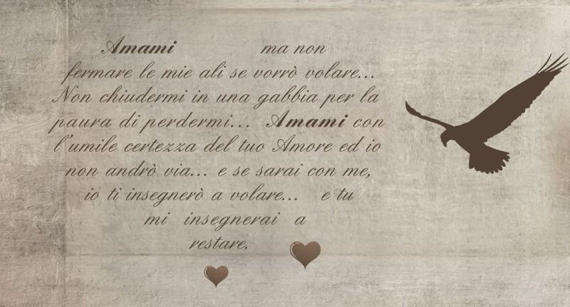 amami-ma-non-fermare-le-mie-ali-marrone.jpg